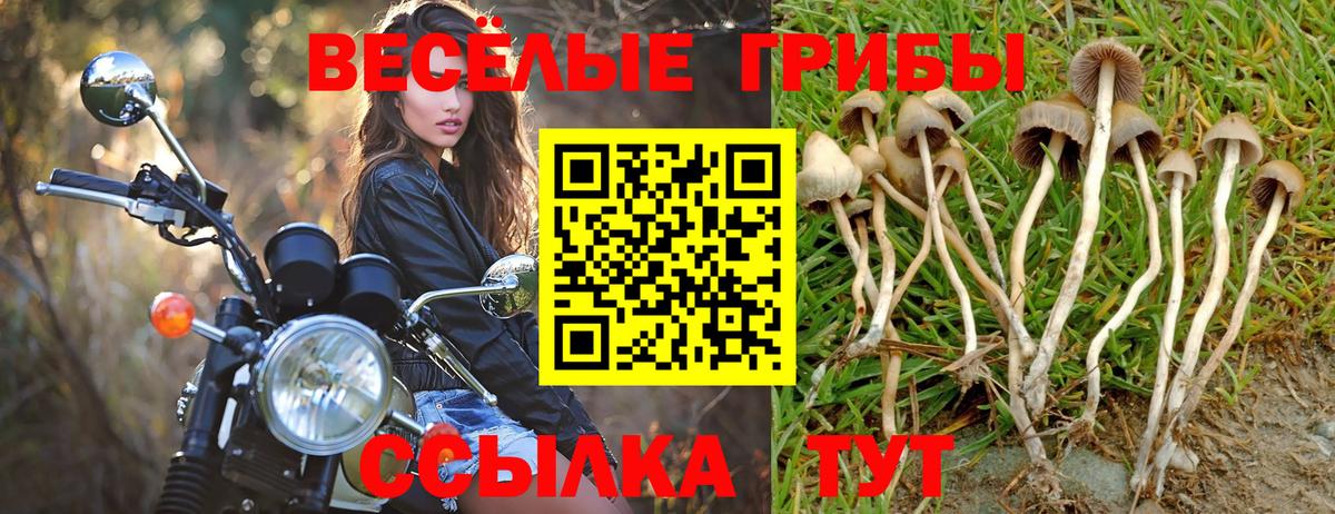 Галлюциногенные грибы GOLDEN TEACHER Тобольск